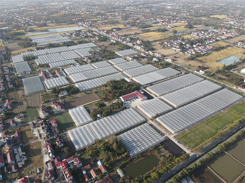 Le quinzième plan quinquennal a contribué au développement vigoureux de l’agriculture d’installation