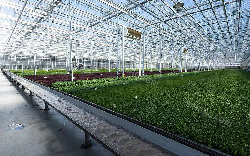 Solution de serre: une approche durable de l'agriculture