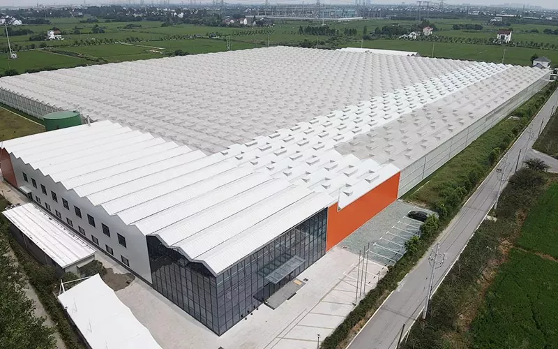Glass Greenhouse embrasse la technologie de pointe pour l'agriculture durable