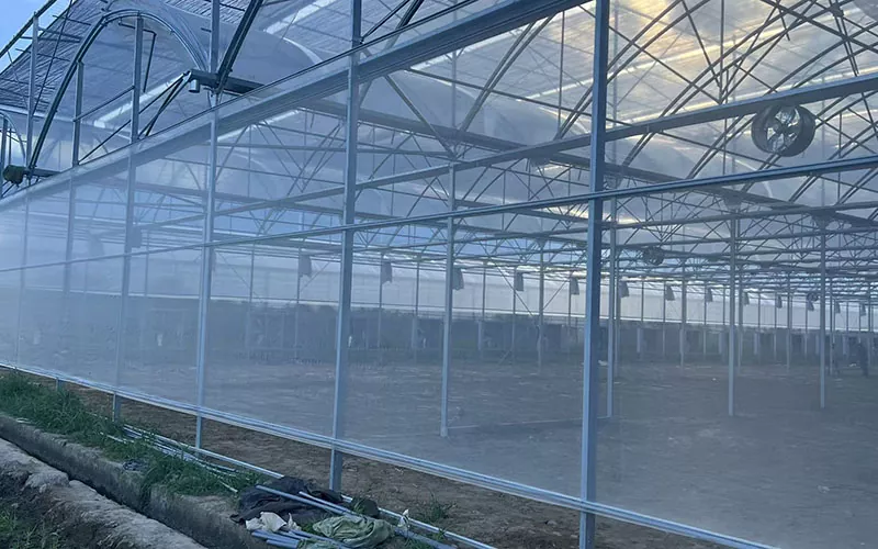 Greenhouse Insect Net mène une nouvelle tendance dans la lutte antiparasitaire