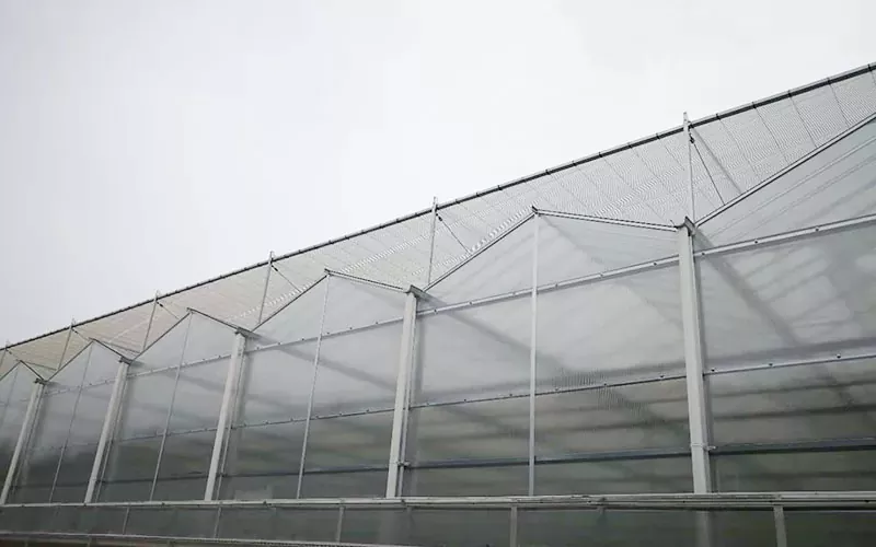 Advanced PC Greenhouse Technology Pioneers Agriculture durable