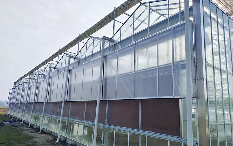 Serre en polycarbonate transparent à plusieurs travées à vendre