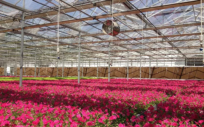 Serre à fleurs en verre trempé et flotté